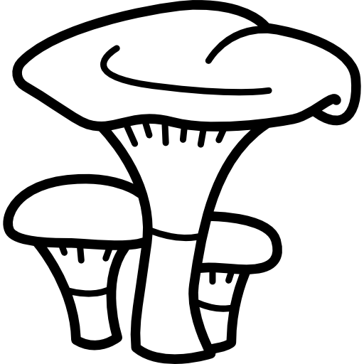 pareja